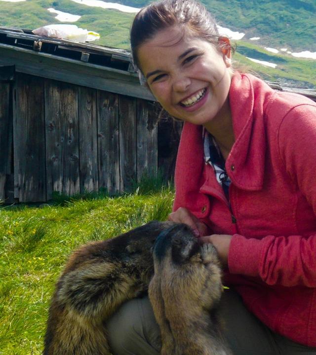 Wo pfeift das Murmeltier?