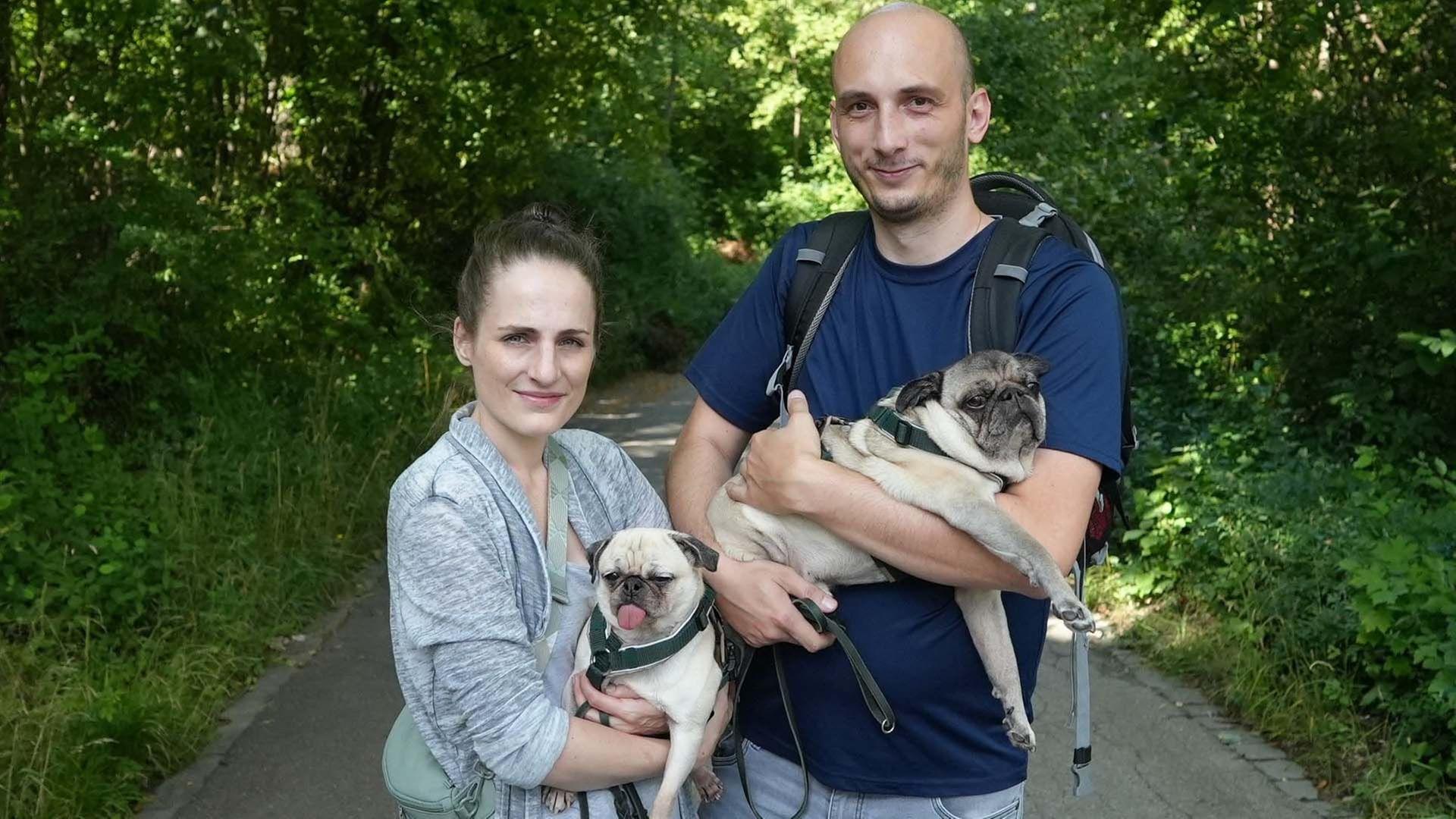 Re: Das Leiden der Modehunde - Niedlich, aber krankgezüchtet?