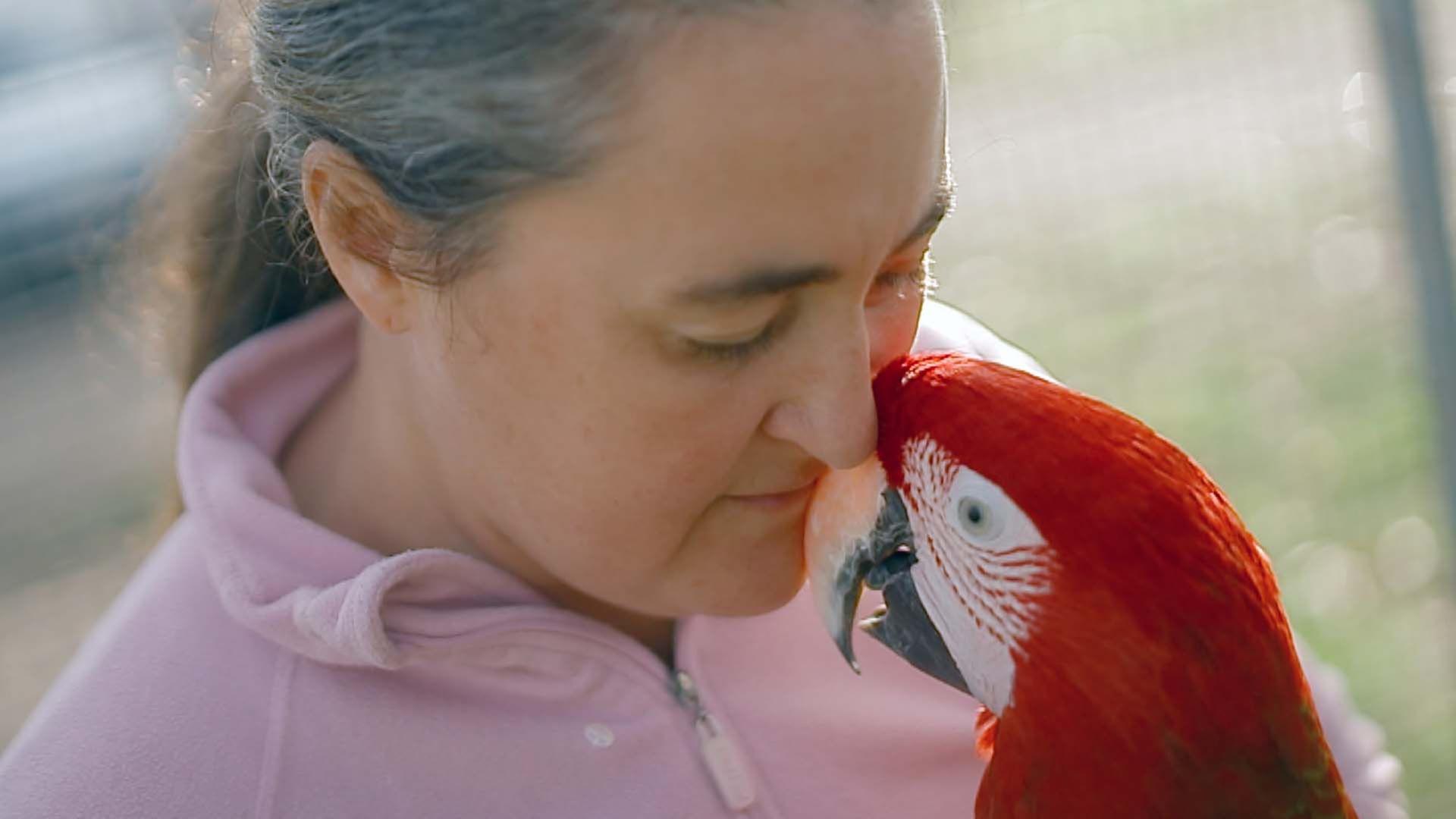 Re: Der Retter der misshandelten Tiere