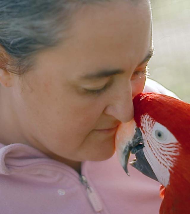 Re: Der Retter der misshandelten Tiere