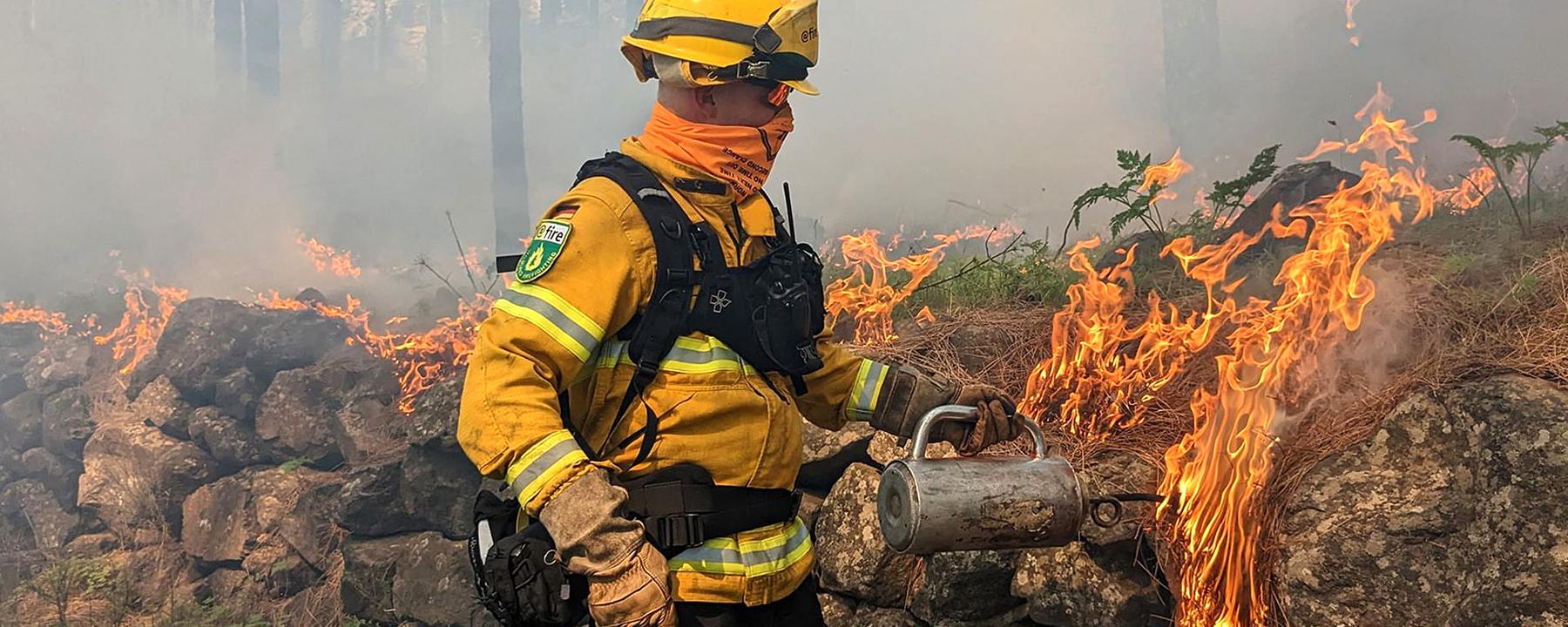 Re: Feuer, Flammen, Funkenschlag - Waldschutz in der Klimakrise