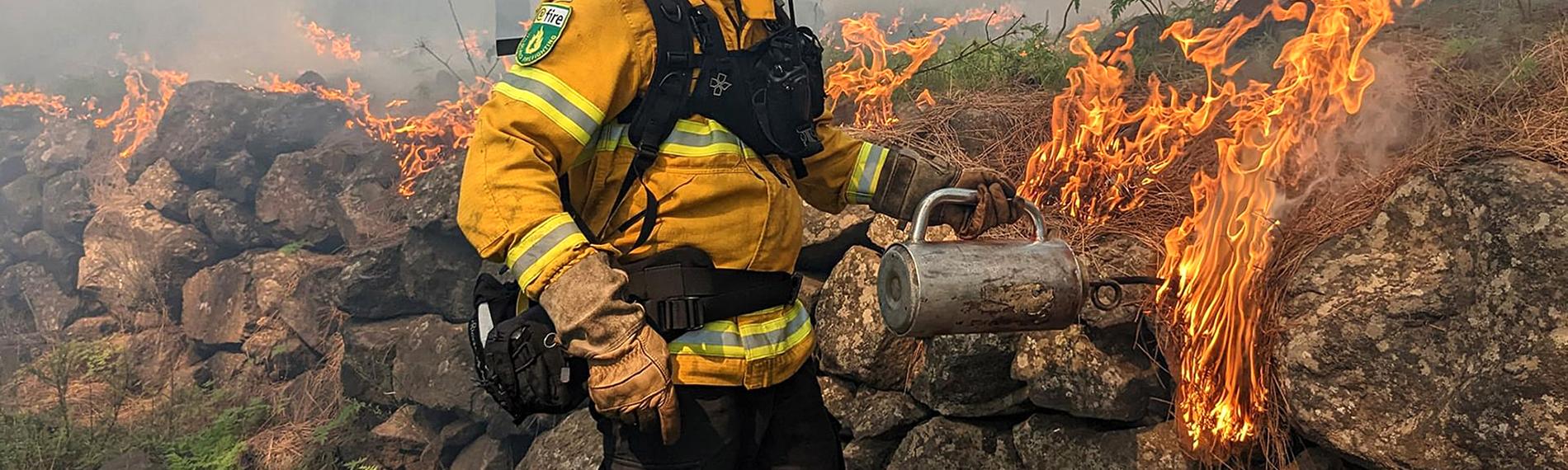 Re: Feuer, Flammen, Funkenschlag - Waldschutz in der Klimakrise