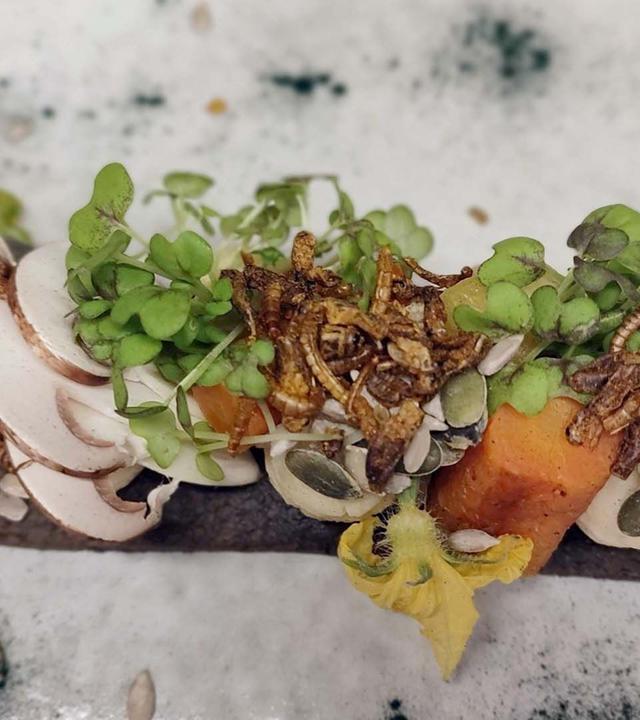 Re: Insekten à la Carte - Frankreichs Nouvelle Cuisine