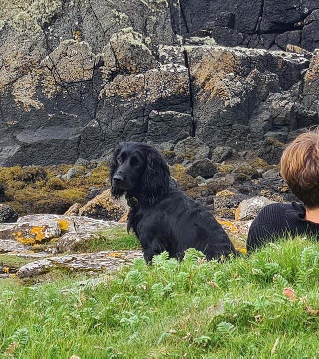 Re: Meine eigene Insel