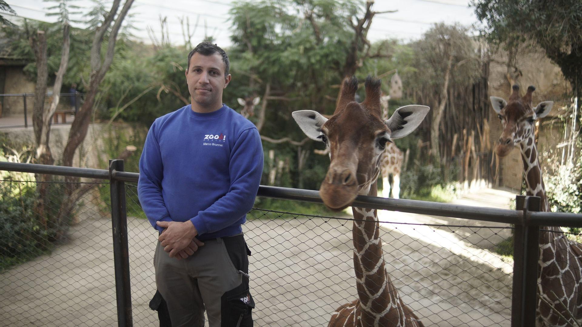 Re: Zu viele Tiere im Zoo - Wie geht moderner Artenschutz?