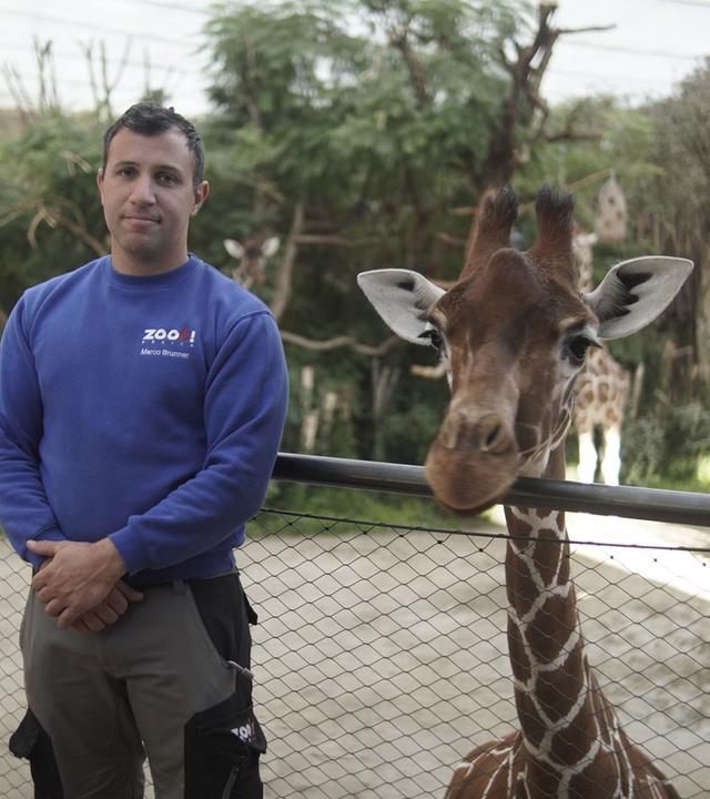 Re: Zu viele Tiere im Zoo - Wie geht moderner Artenschutz?