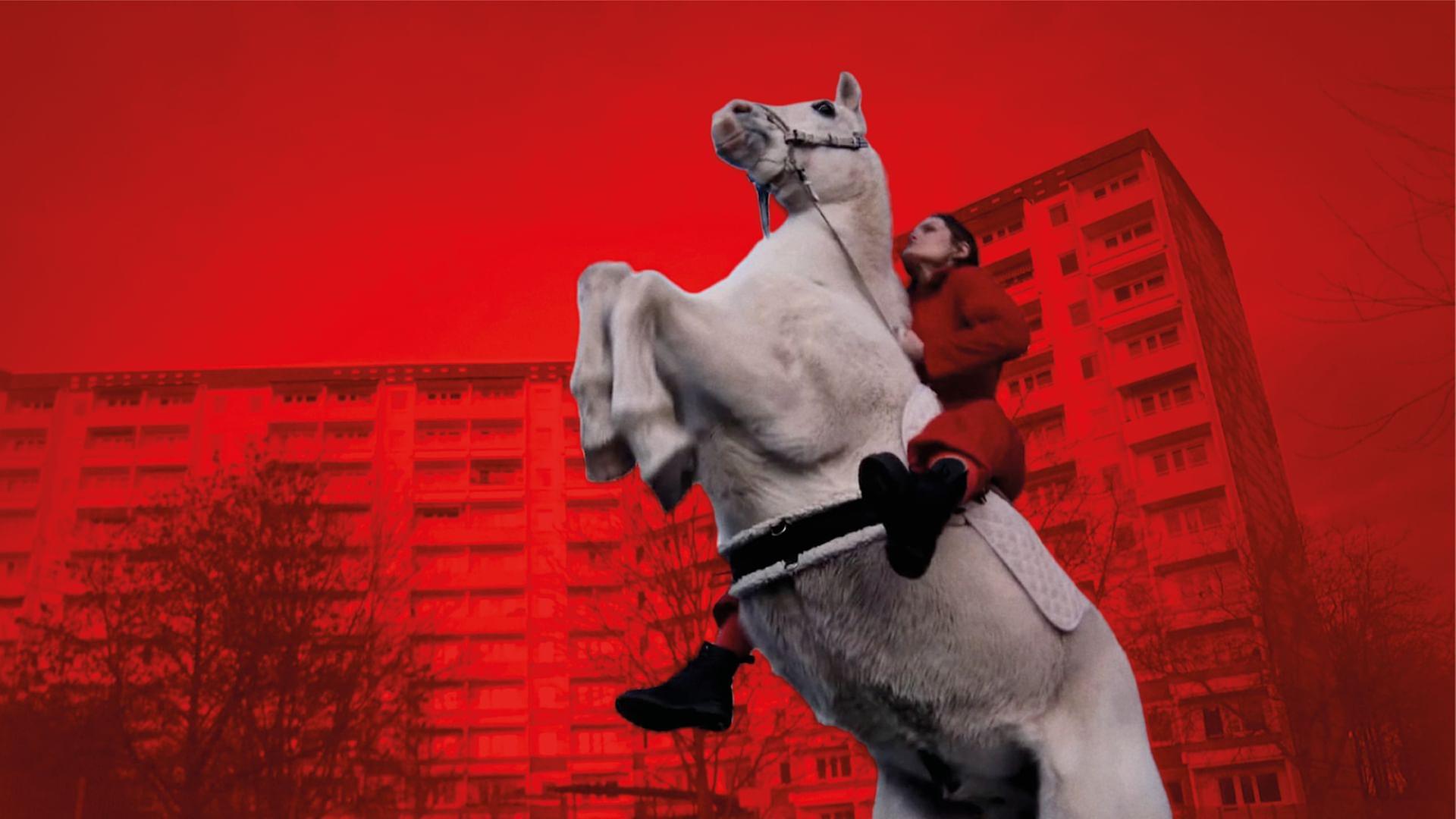 Rebels: Ich rebelliere, also bin ich - Die Macht der Aktionskunst