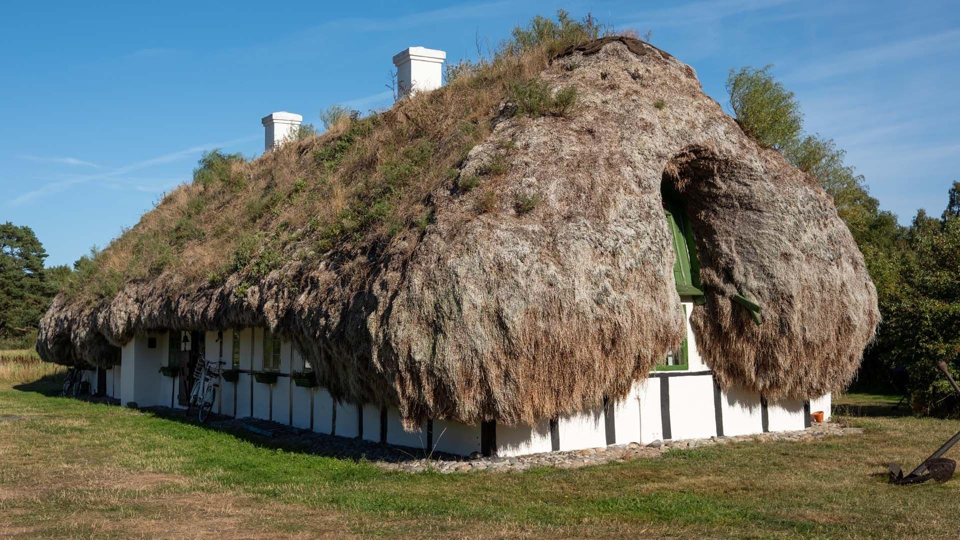 360 Reportage - Læsø: Dänemarks letzte Seegrasdächer