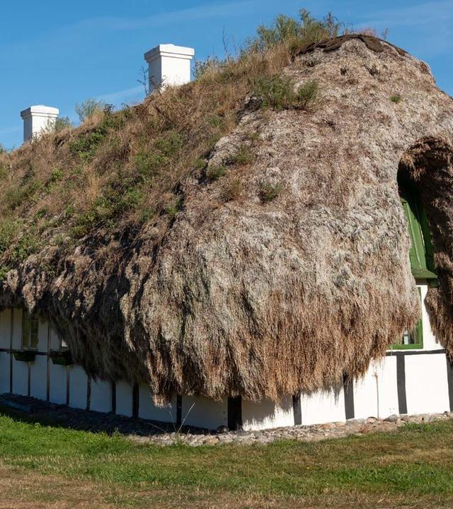 360 Reportage - Læsø: Dänemarks letzte Seegrasdächer