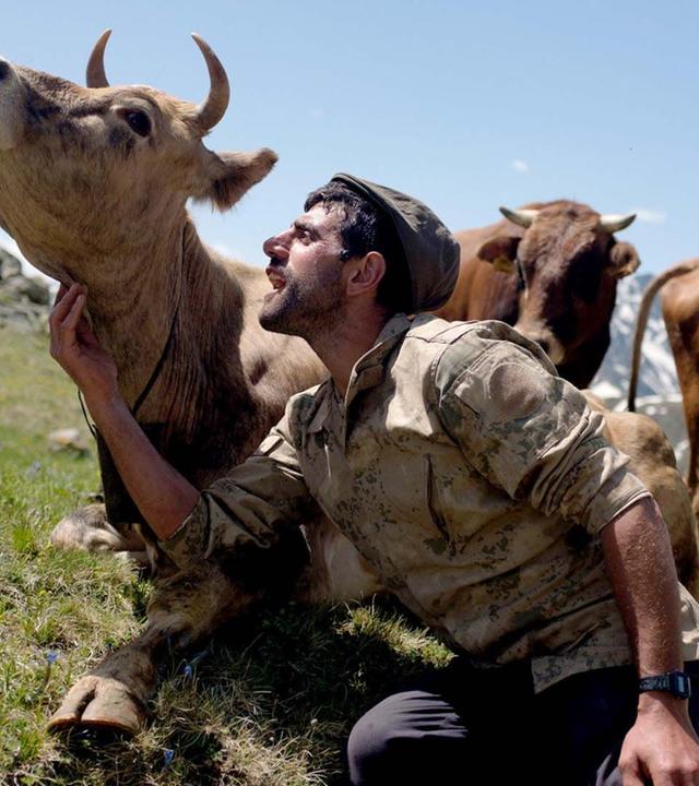 360 Reportage - Türkei: Die Kühe von Tahpur