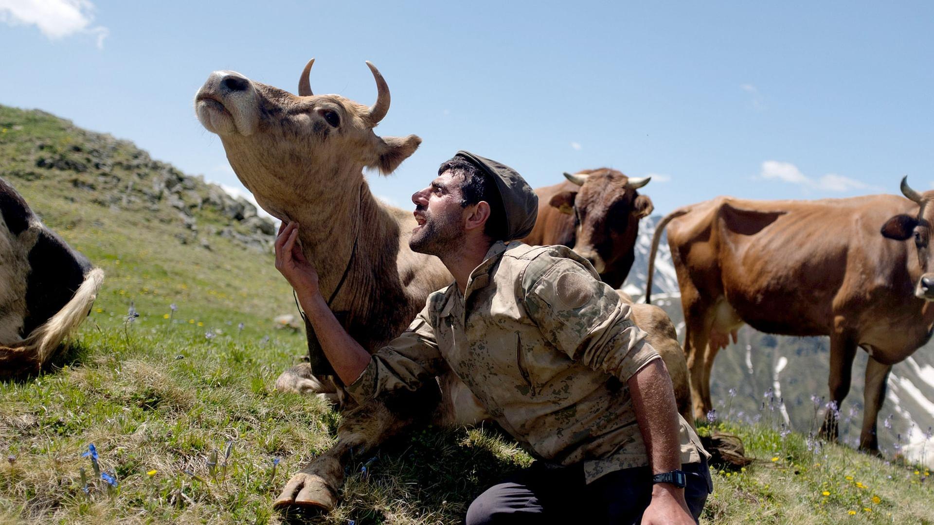 360 Reportage - Türkei: Die Kühe von Tahpur