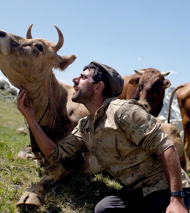 360 Reportage - Türkei: Die Kühe von Tahpur