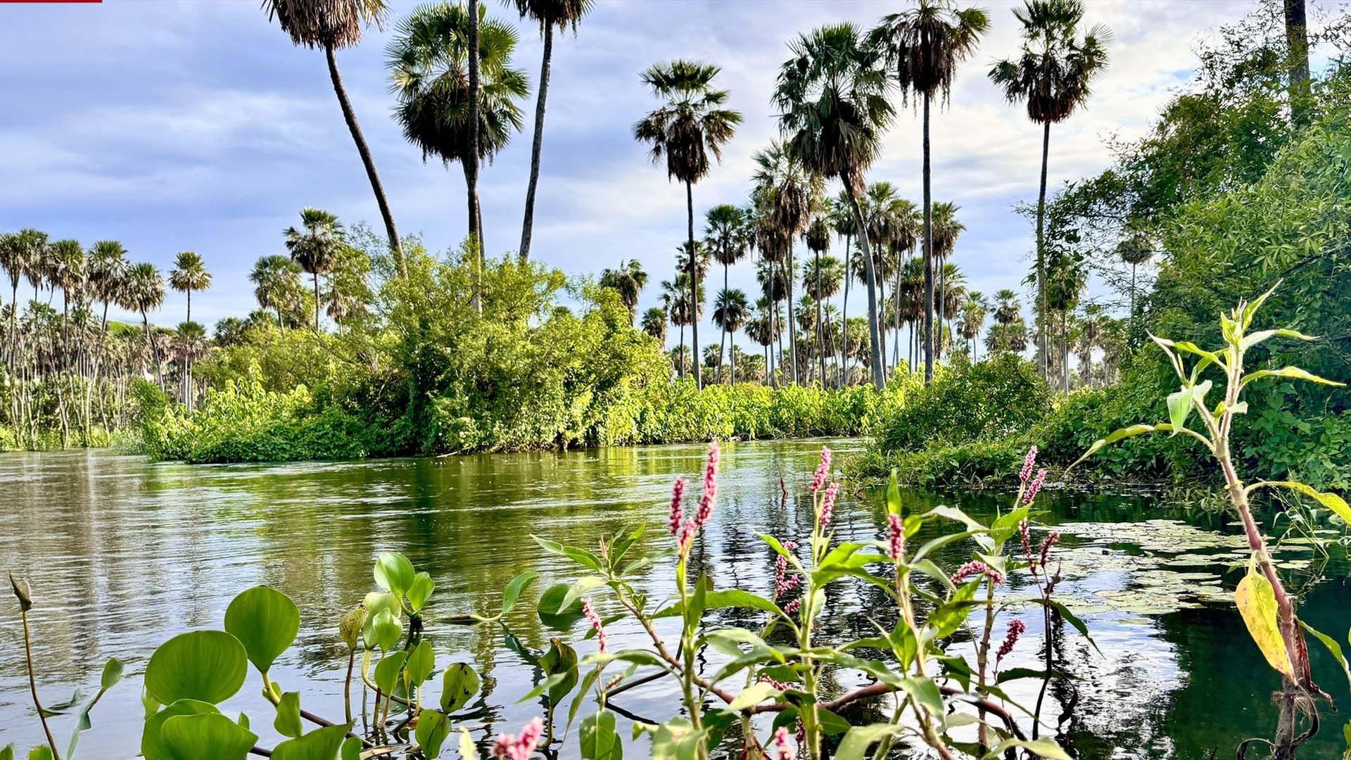 Argentinien - Chaco und Anden