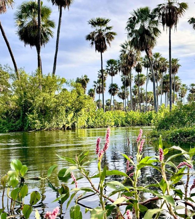 Argentinien - Chaco und Anden