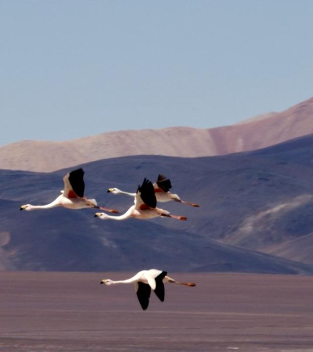 Argentinien - Córdoba und Cuyo