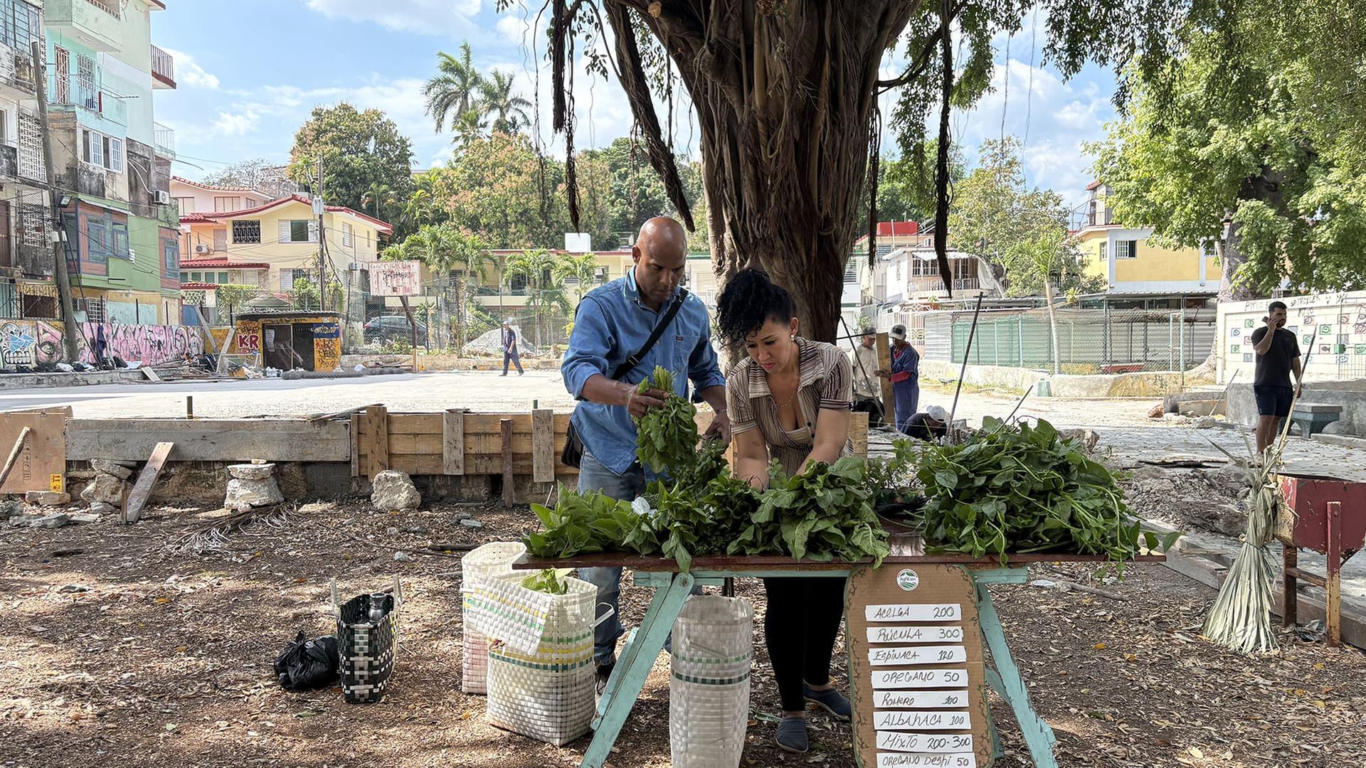 ARTE Reportage - Kuba / Argentinien