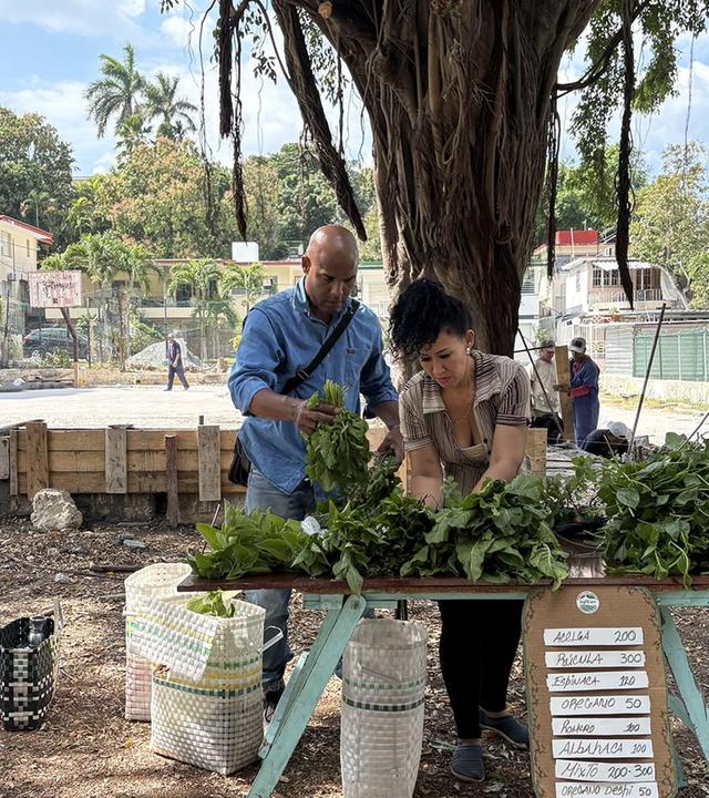 ARTE Reportage - Kuba / Argentinien