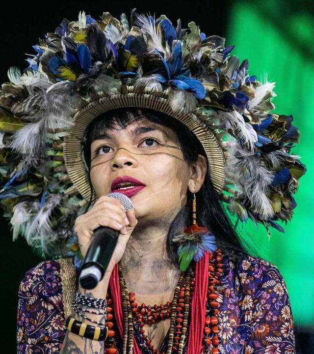 Bedrohter Amazonas - Warum die grüne Lunge stirbt