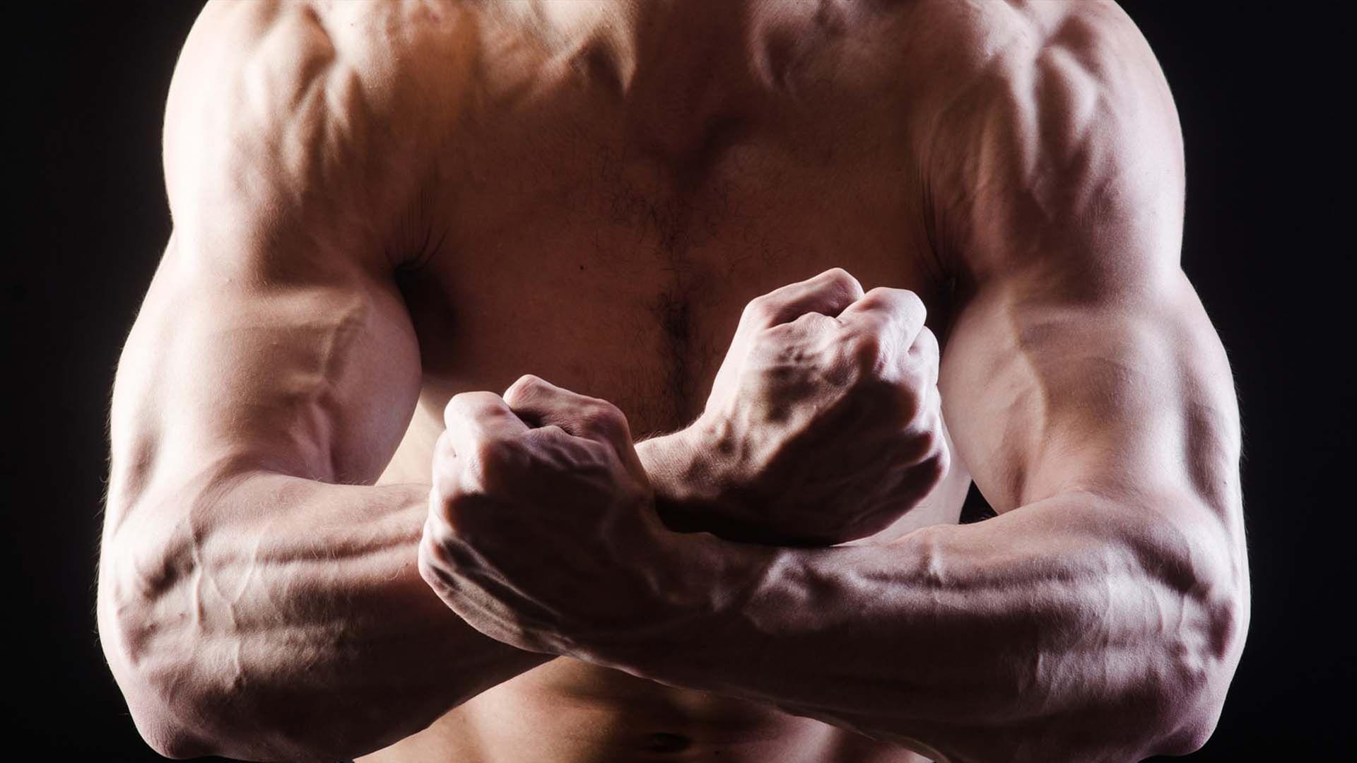 Brauchen wir den Alpha-Mann? - 42 - Die Antwort auf fast alles