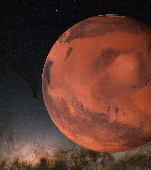 Elon Musks Traum vom Mars: Der wahre Preis