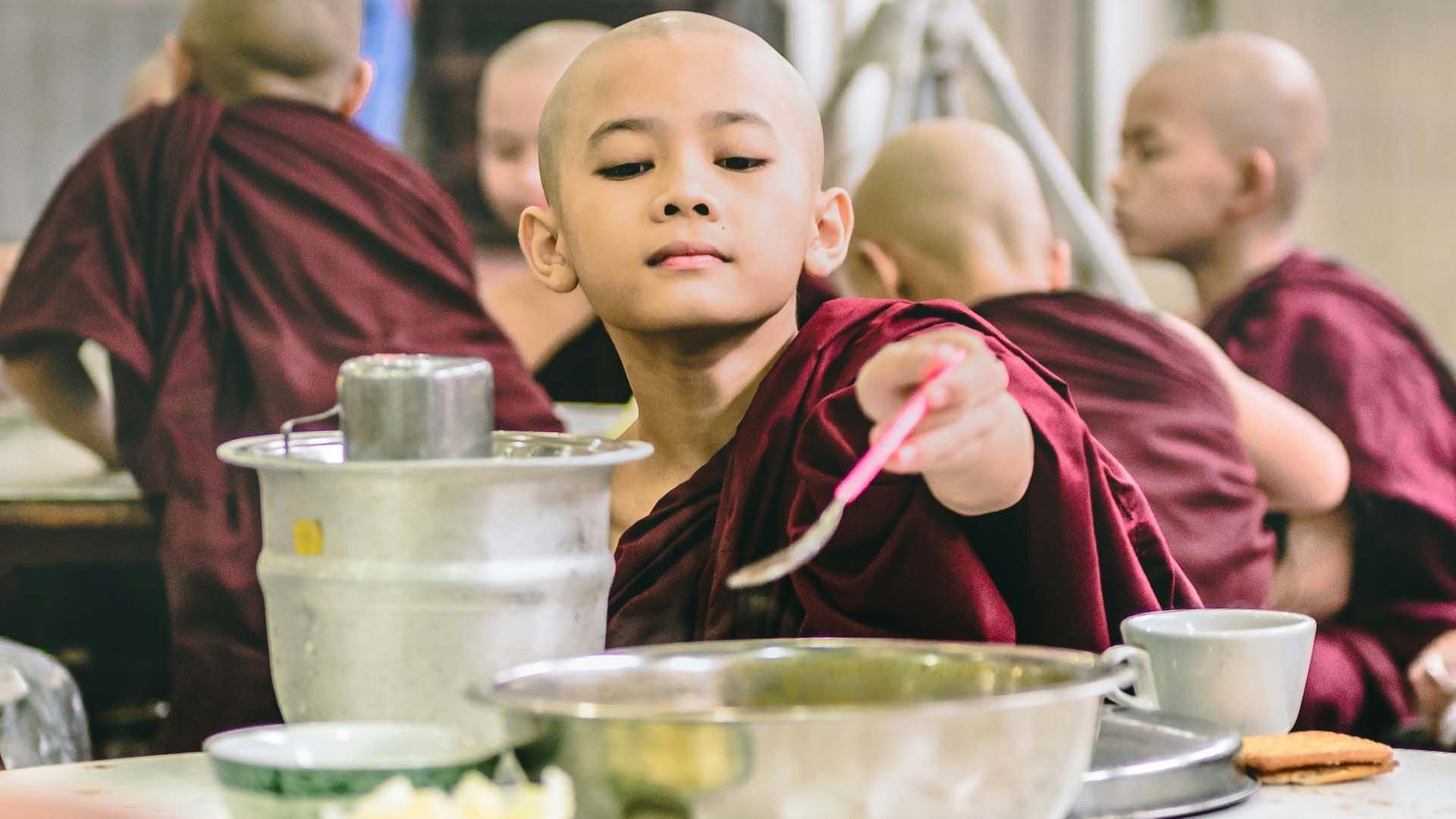 Fleischlos glücklich - Die Geschichte der Vegetarier