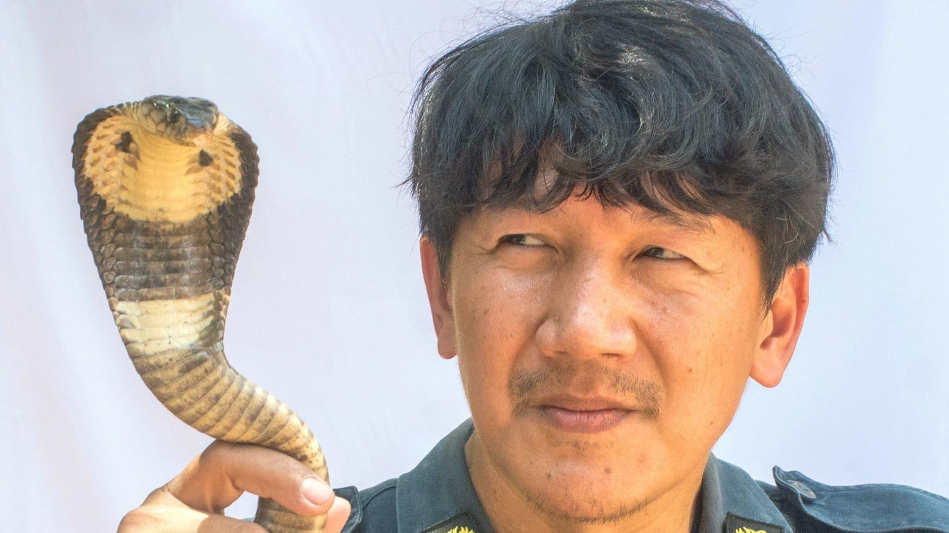 GEO Reportage - Auf Schlangenjagd in Bangkok