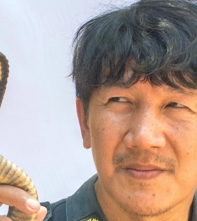 GEO Reportage - Auf Schlangenjagd in Bangkok