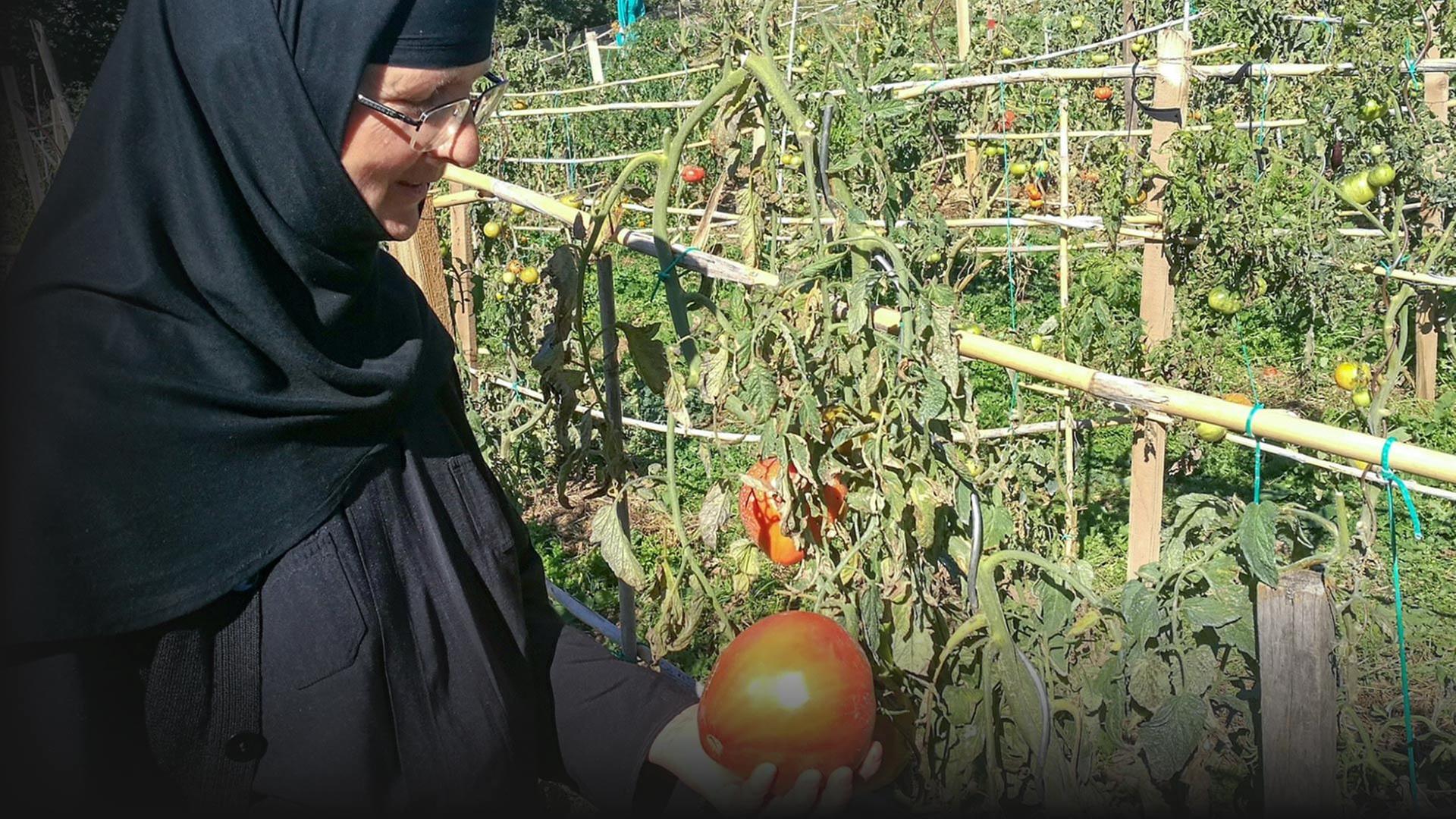 GEO Reportage - Die Schwestern der Erde