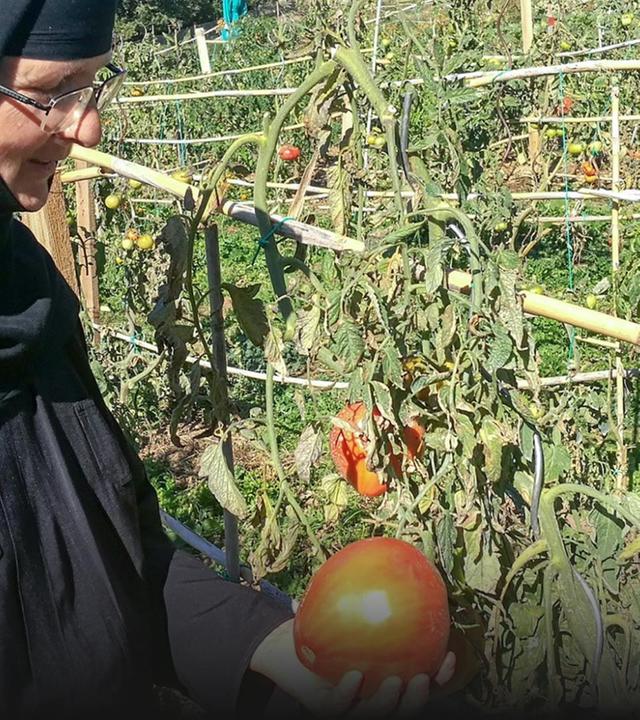 GEO Reportage - Die Schwestern der Erde