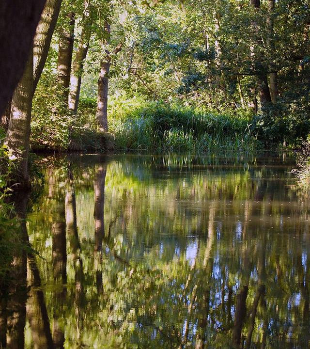 GEO Reportage - Spreewald: Kähne, Köche, Klapperstörche