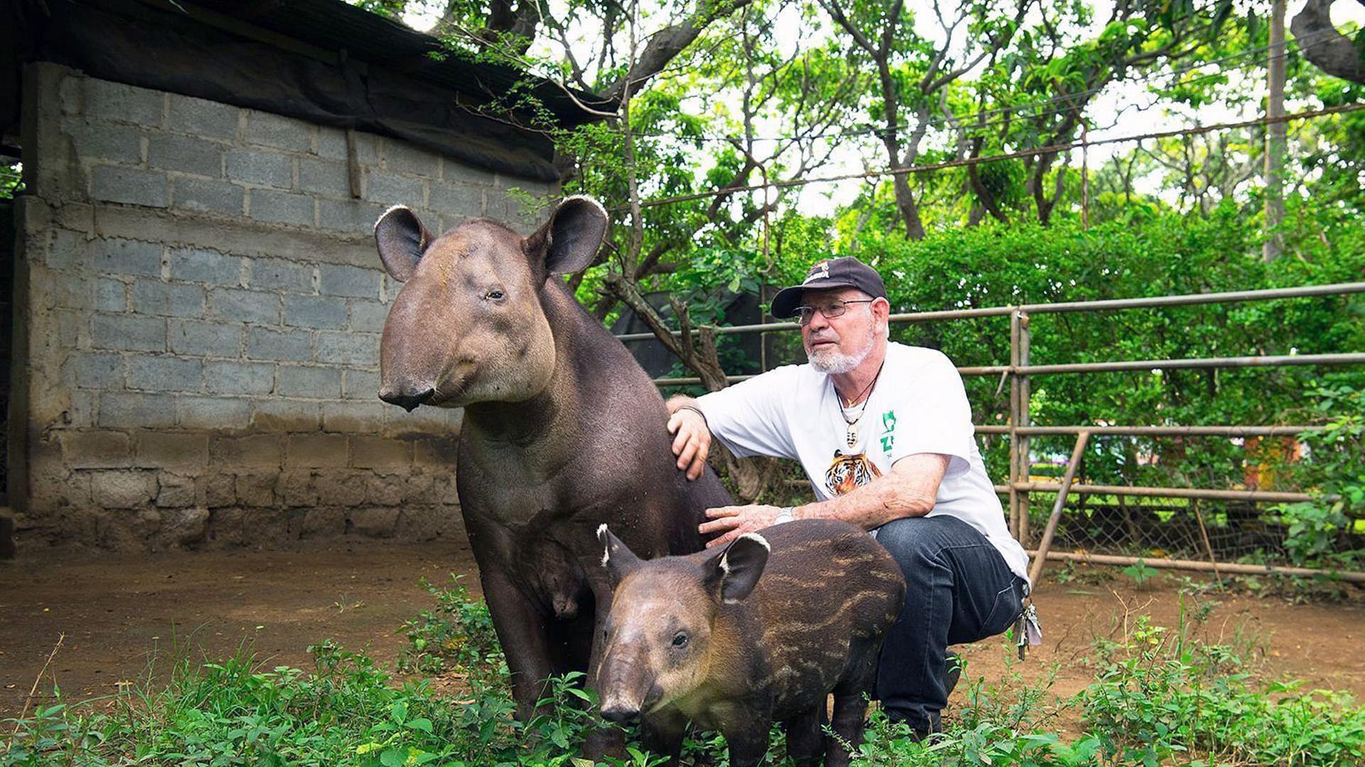 GEO Reportage - Tapire: Die Dschungel-Gärtner