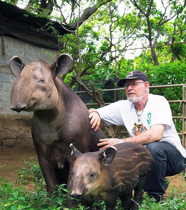 GEO Reportage - Tapire: Die Dschungel-Gärtner