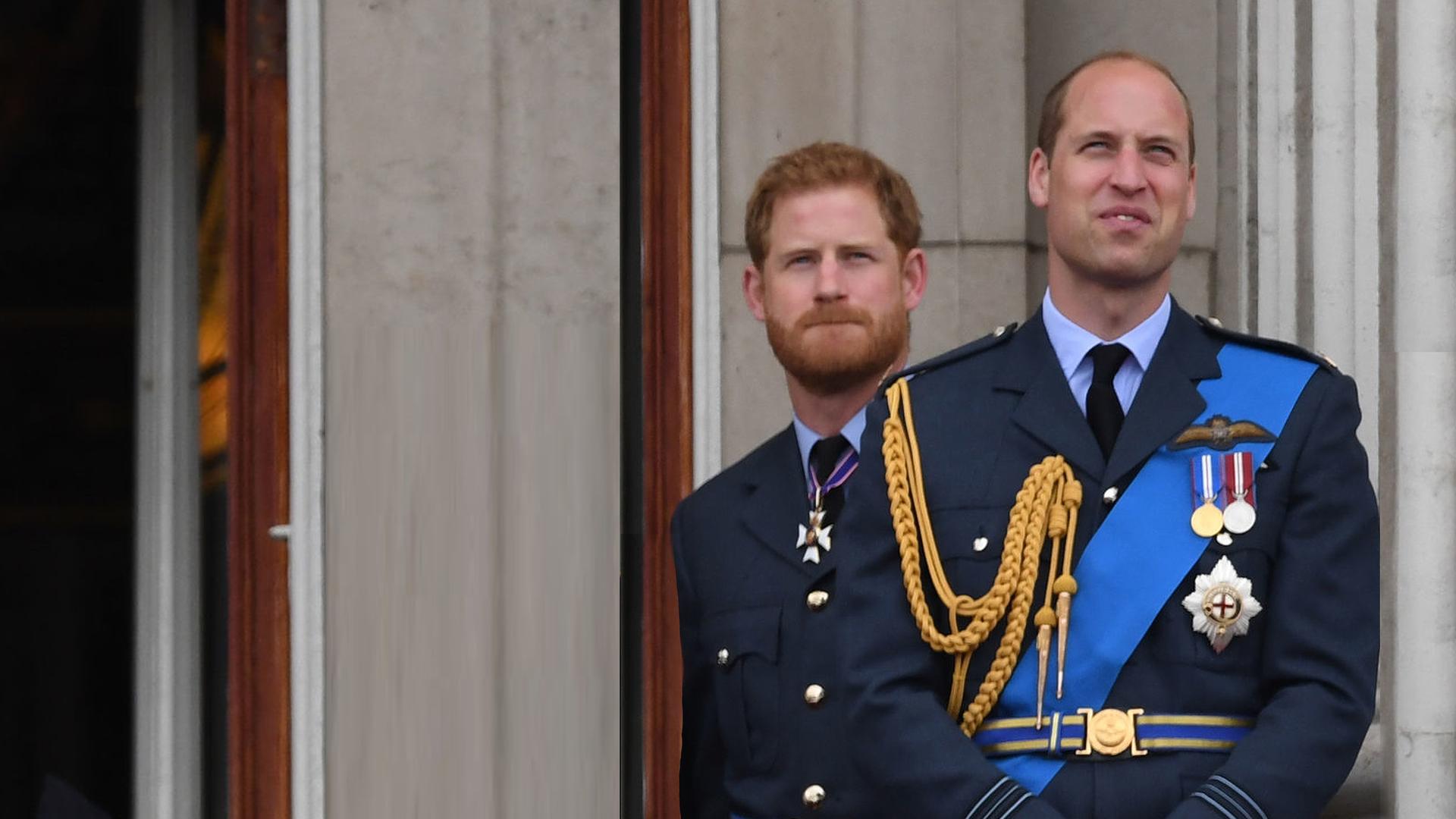 Harry vs. William - Der royale Bruderzwist