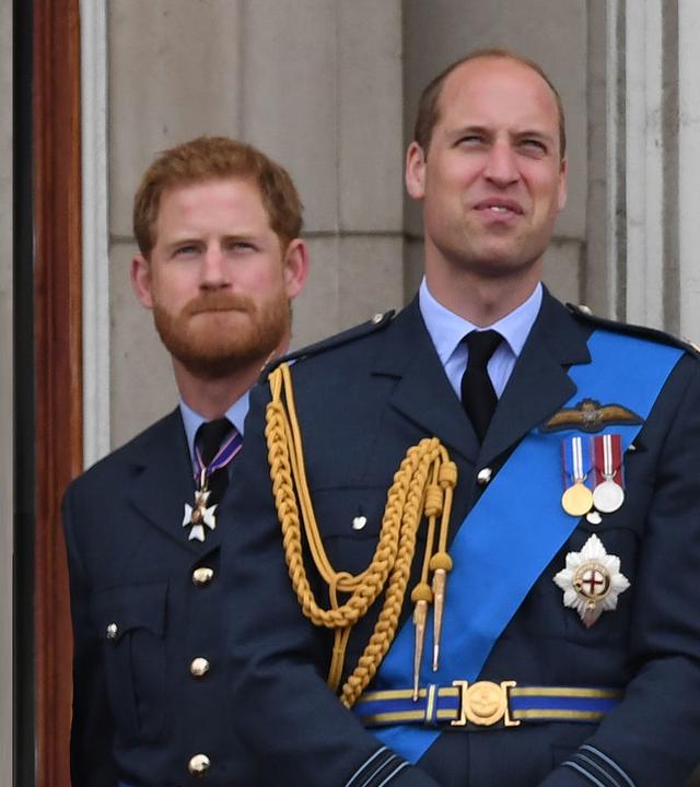 Harry vs. William - Der royale Bruderzwist