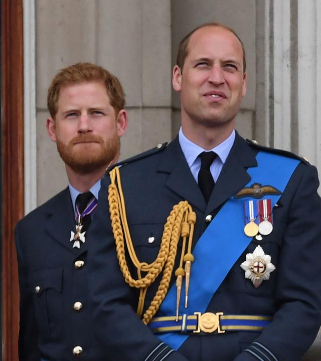 Harry vs. William - Der royale Bruderzwist