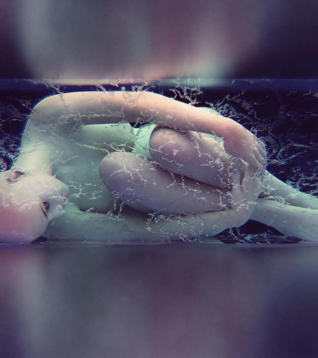 Kann der Mensch Winterschlaf? - 42 - Die Antwort auf fast alles