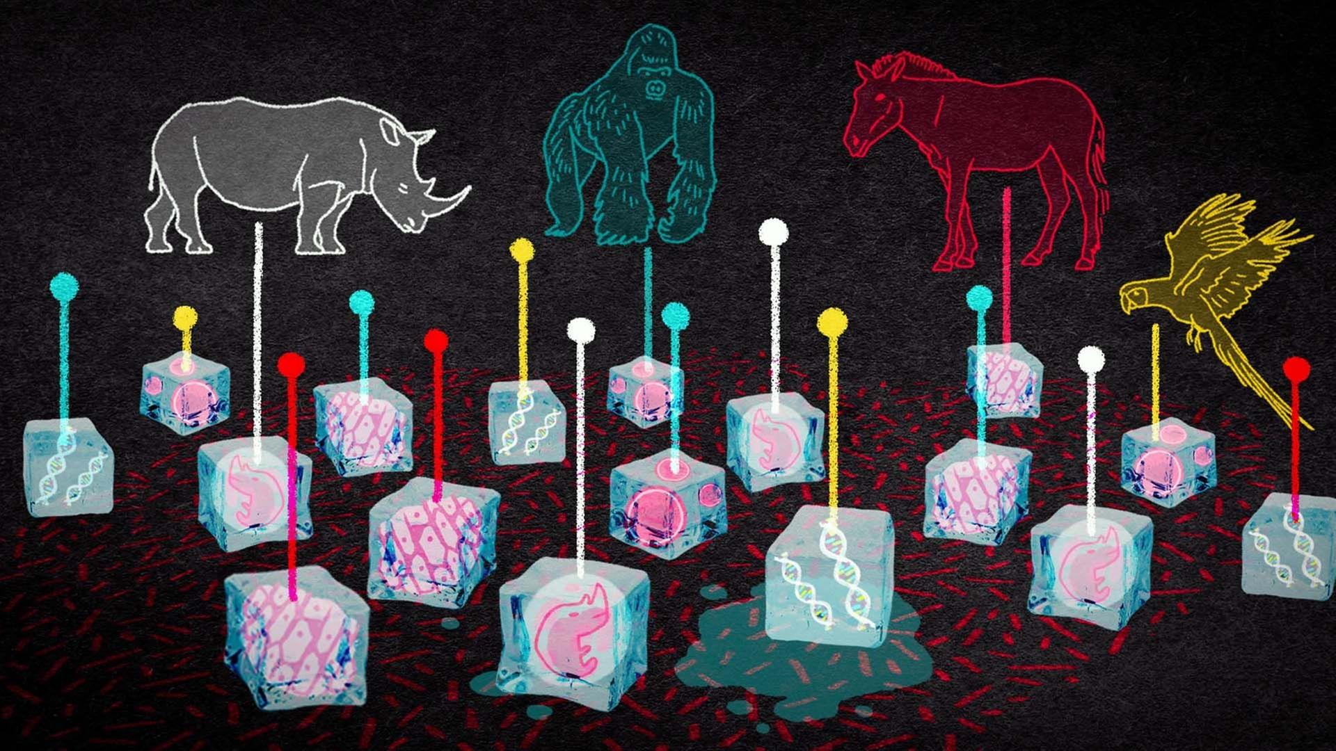 Können wir die Mammuts zurückholen? - 42 - Die Antwort auf fast alles