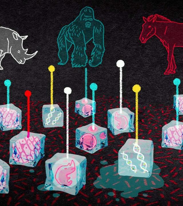 Können wir die Mammuts zurückholen? - 42 - Die Antwort auf fast alles