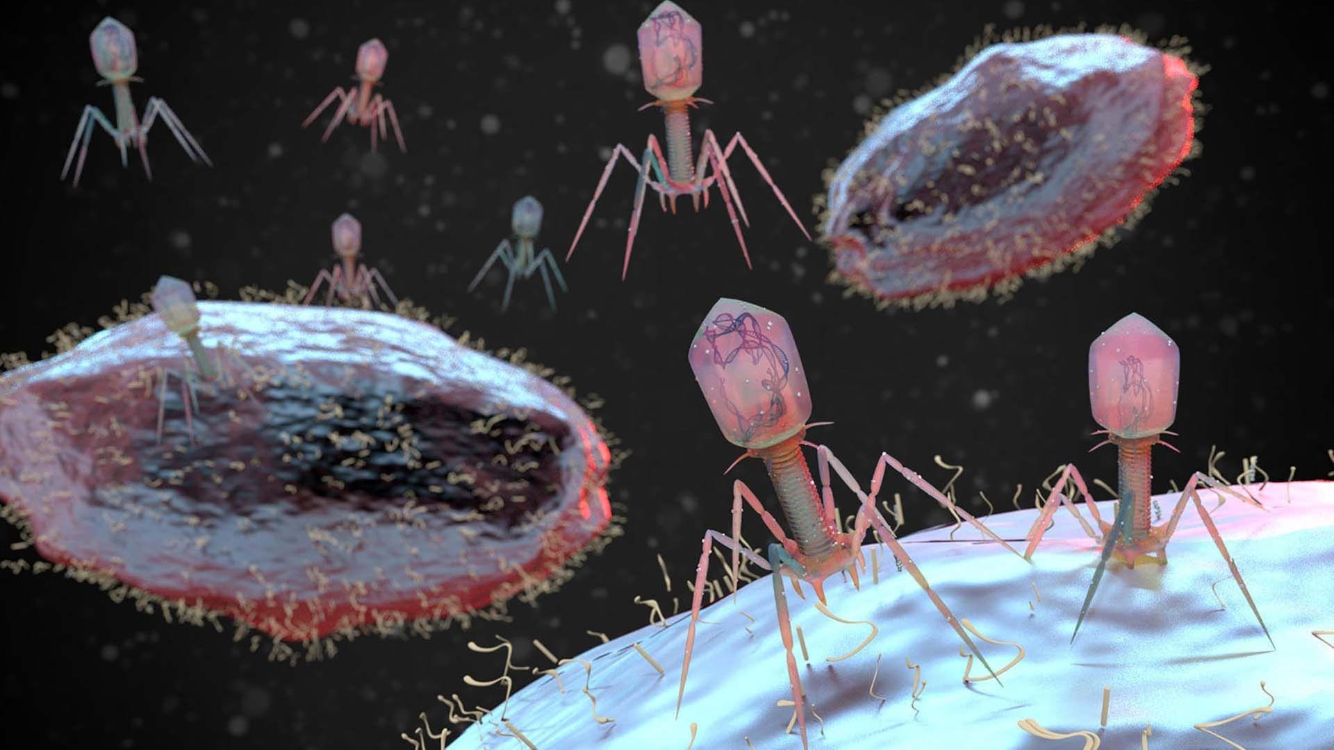 Kommt die Superkeim-Pandemie? - 42 - Die Antwort auf fast alles