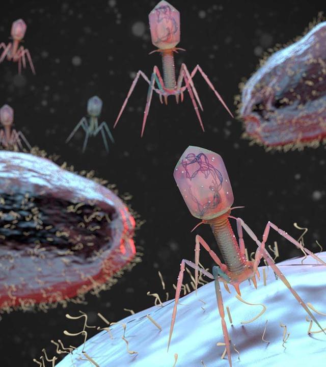 Kommt die Superkeim-Pandemie? - 42 - Die Antwort auf fast alles