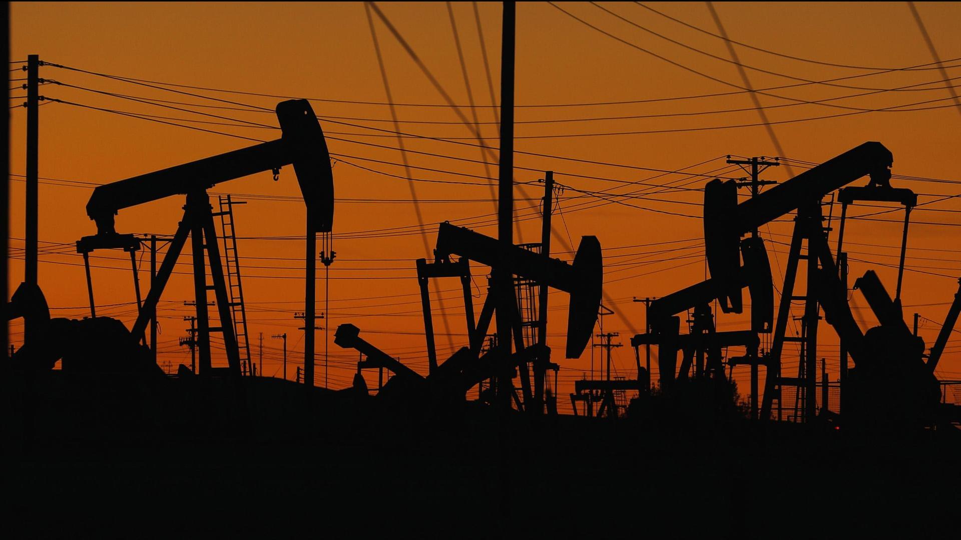 Machen Rohstoffe Länder wirklich reicher? - Stimmt es, dass ...?