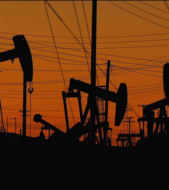 Machen Rohstoffe Länder wirklich reicher? - Stimmt es, dass ...?