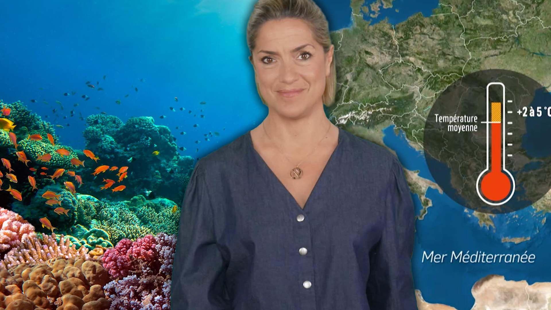Mit offenen Karten - Im Fokus - Hitzewelle: die Folgen für die Meere