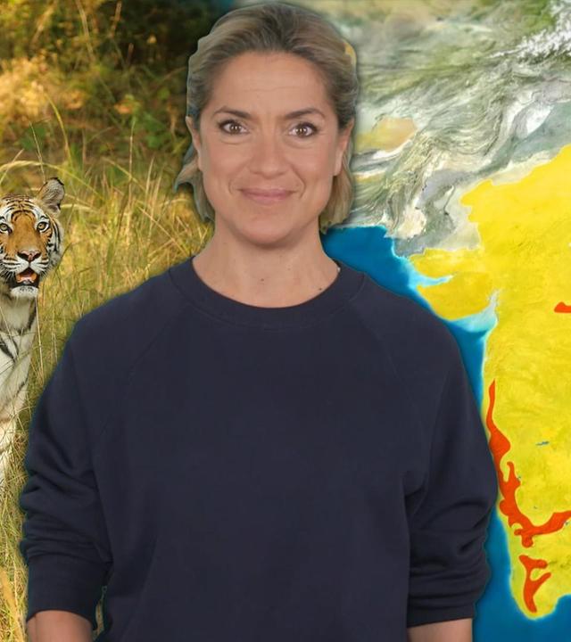 Mit offenen Karten - Im Fokus - Weltnaturkonferenz: Kann die Tierwelt noch gerettet werden?