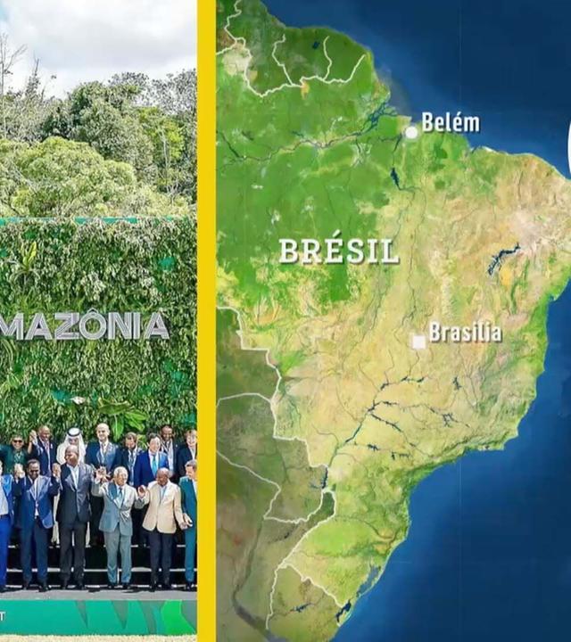 Mit offenen Karten - Von Bolsonaro zu Lula: Wohin steuert Brasilien?