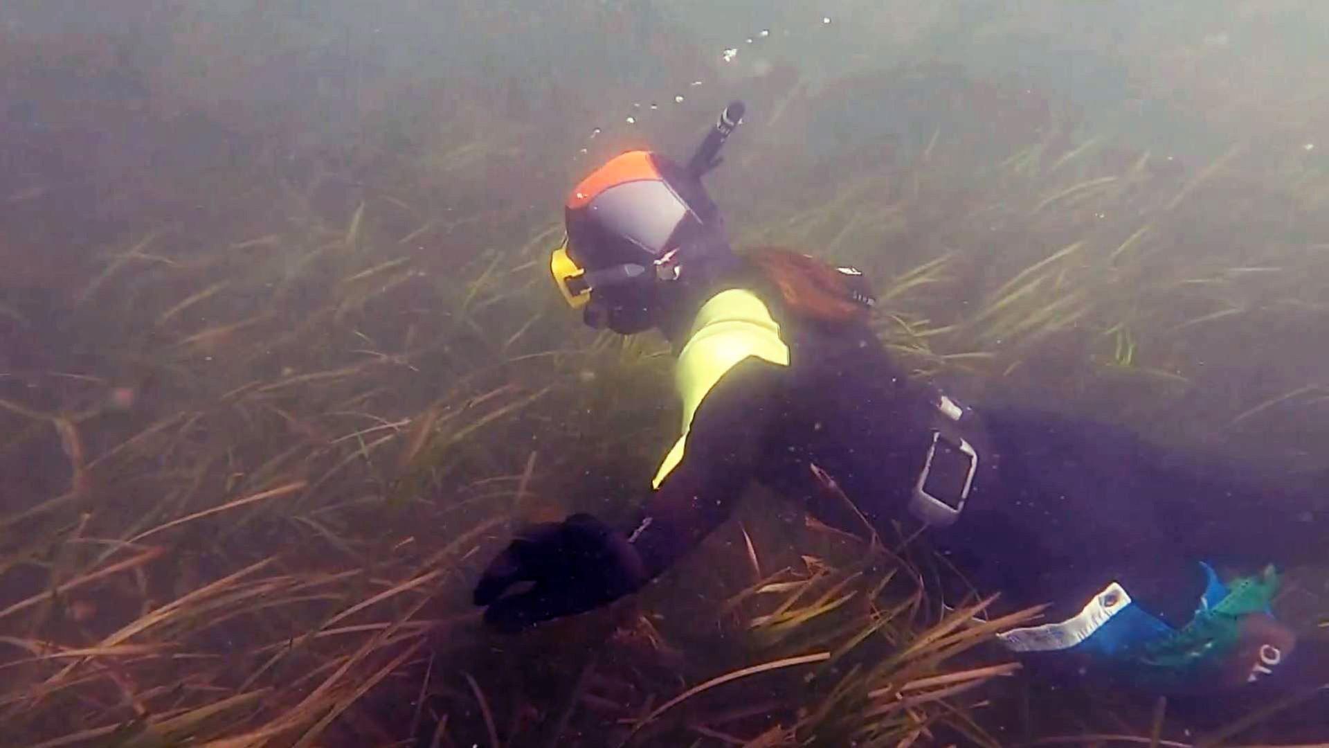 Re: Das Austernwunder von Portugal