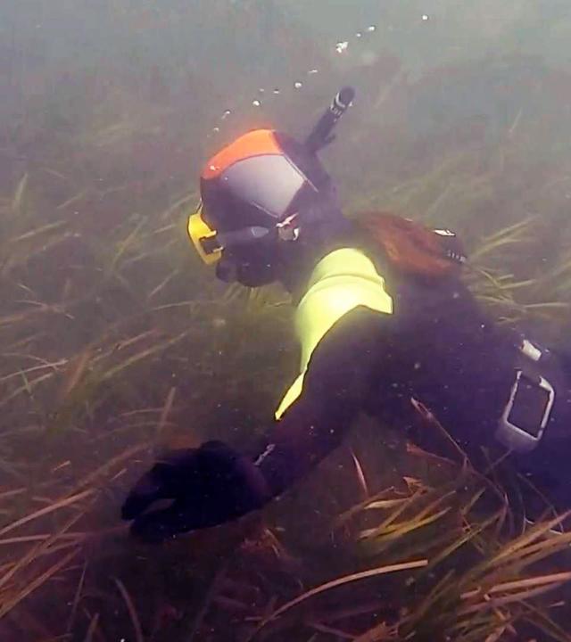 Re: Das Austernwunder von Portugal