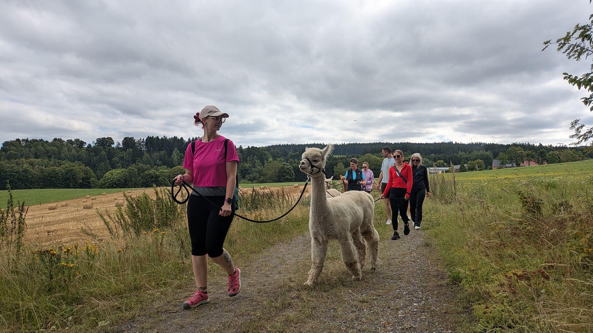 Re: Der Hype ums Alpaka