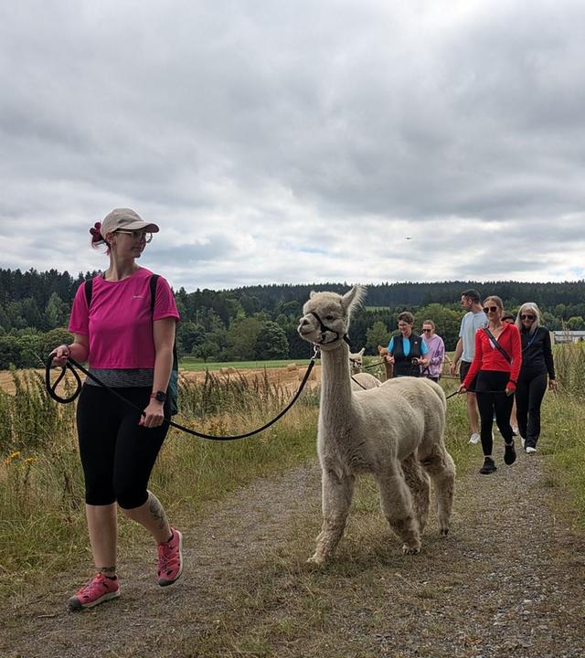 Re: Der Hype ums Alpaka