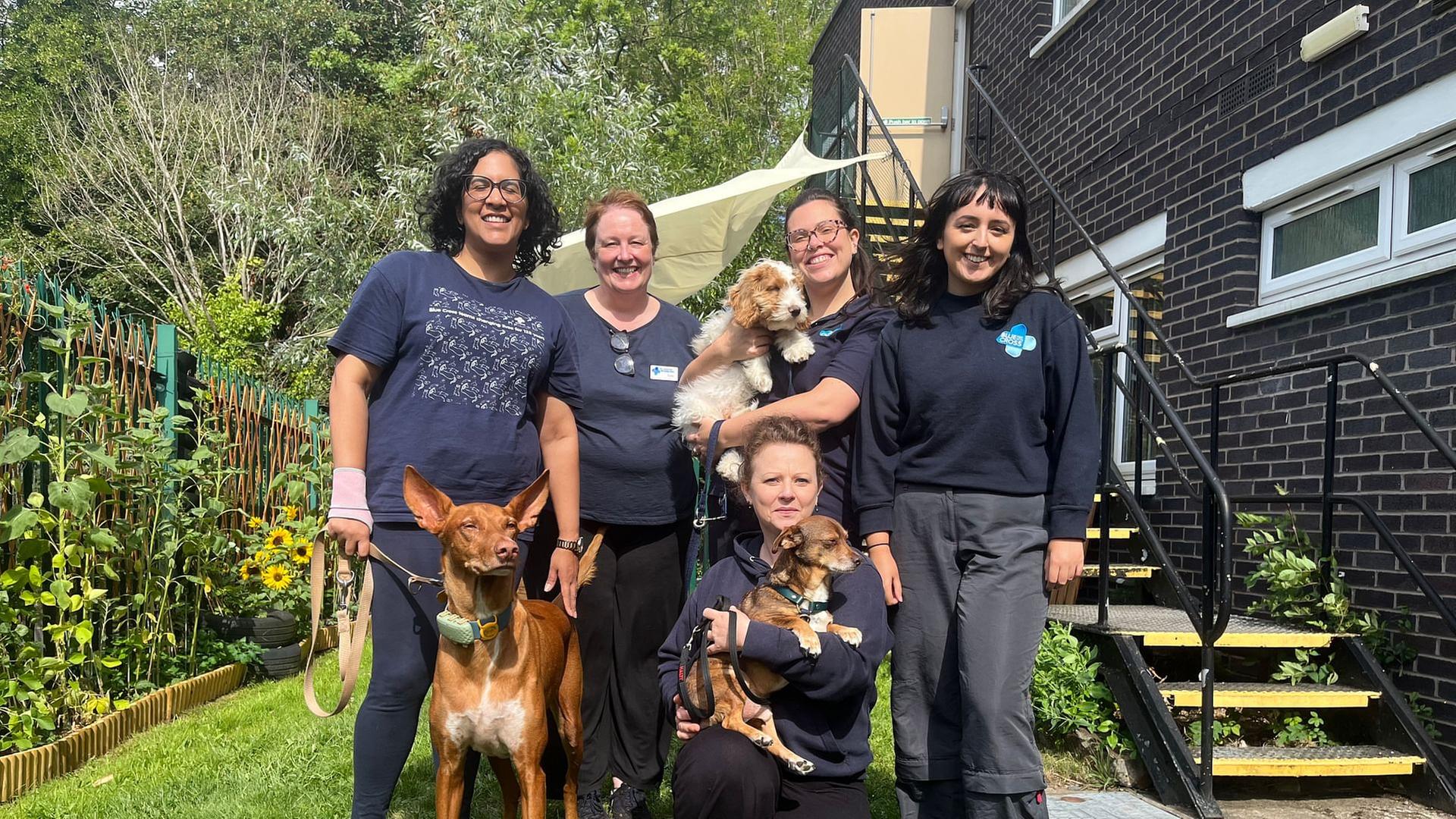 Re: Haustier-Besitzer in Not